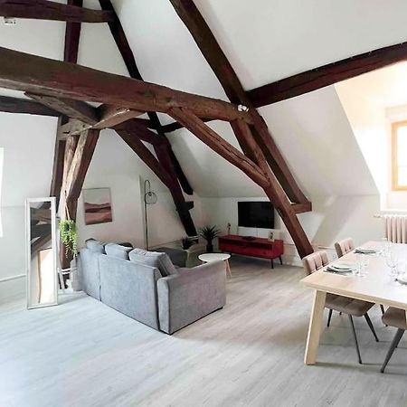 Charme Plein Coeur Auxerre - Parking Prive Apartment Ngoại thất bức ảnh