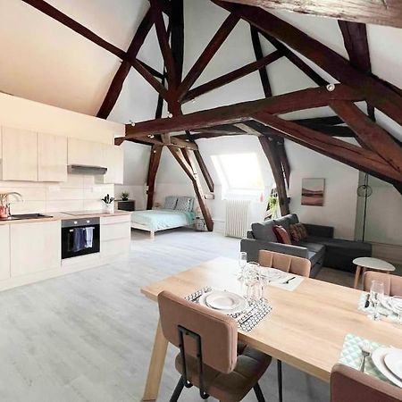 Charme Plein Coeur Auxerre - Parking Prive Apartment Ngoại thất bức ảnh