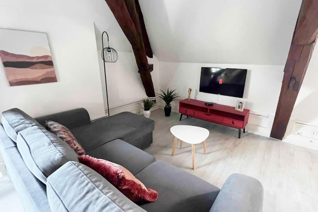 Charme Plein Coeur Auxerre - Parking Prive Apartment Ngoại thất bức ảnh